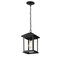 Z-Lite Portland 1 Light Outdoor Chain Light, Black & Clear Beveled 531CHM-BK - alternate 4